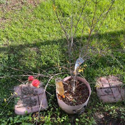 Sale Photo Thumbnail #57