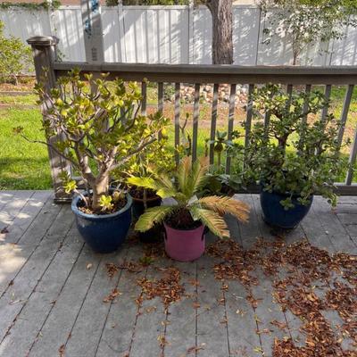 Sale Photo Thumbnail #47