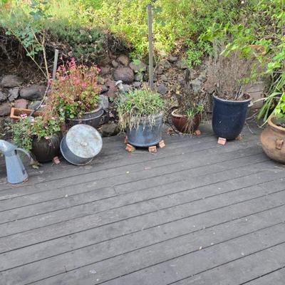 Sale Photo Thumbnail #150