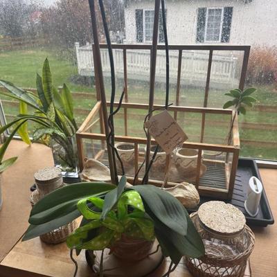 Sale Photo Thumbnail #233