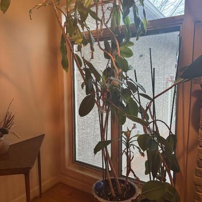 Sale Photo Thumbnail #61