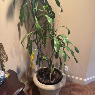 Sale Photo Thumbnail #169