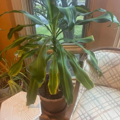 Sale Photo Thumbnail #89