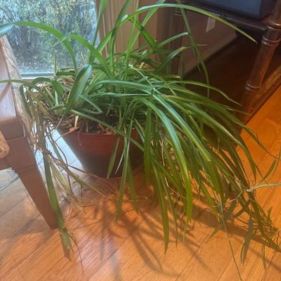 Sale Photo Thumbnail #88