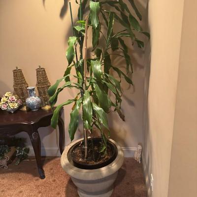 Sale Photo Thumbnail #15