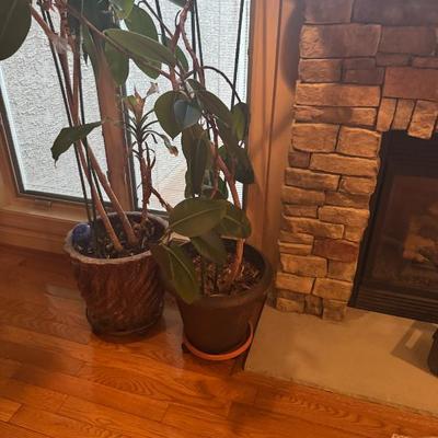 Sale Photo Thumbnail #62