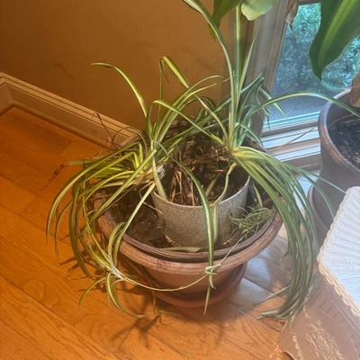 Sale Photo Thumbnail #90