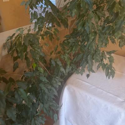 Sale Photo Thumbnail #276