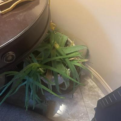 Sale Photo Thumbnail #280