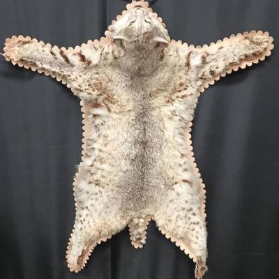 Vintage Full-Body Bobcat Rug Mount