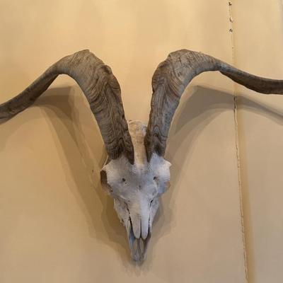 Sale Photo Thumbnail #45