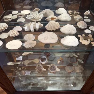 Sale Photo Thumbnail #59