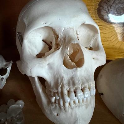 Sale Photo Thumbnail #96