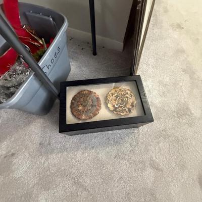 Sale Photo Thumbnail #161