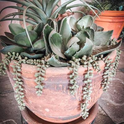 Sale Photo Thumbnail #86