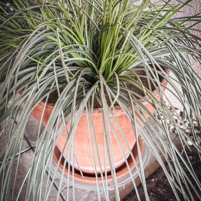 Sale Photo Thumbnail #89