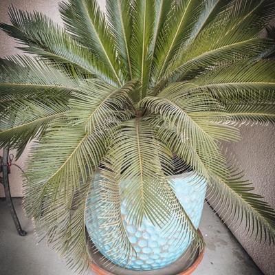 Sale Photo Thumbnail #90