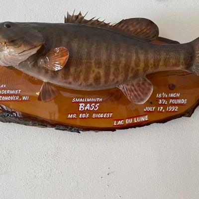 Sale Photo Thumbnail #89