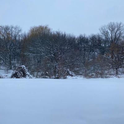 Sale Photo Thumbnail #82