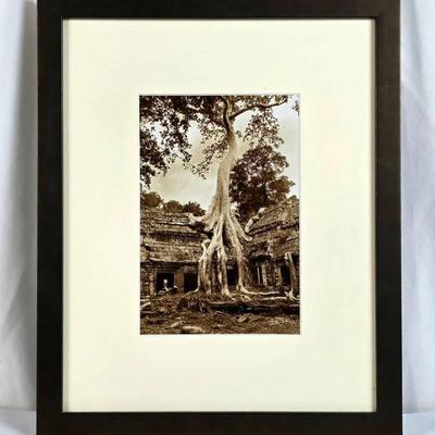 Sale Photo Thumbnail #11: Lot #11 Thierry Diwo Signed Photograph – Ta Prohm Temple Tree, Angkor Cambodia – Sepia 8x10 – Framed