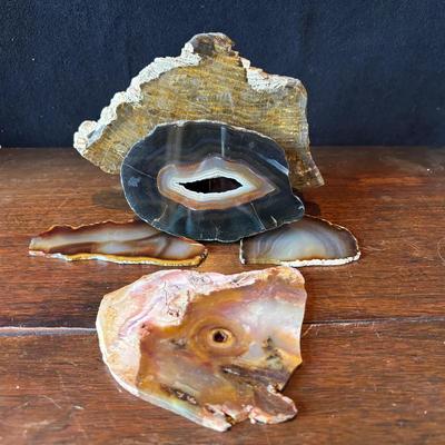 5 Pieces of Polished Rock * Petrified Wood Slabs 