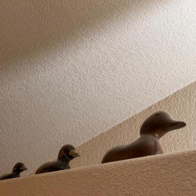 Sale Photo Thumbnail #56