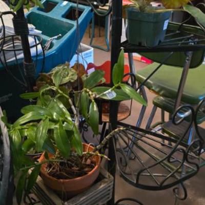 Sale Photo Thumbnail #112