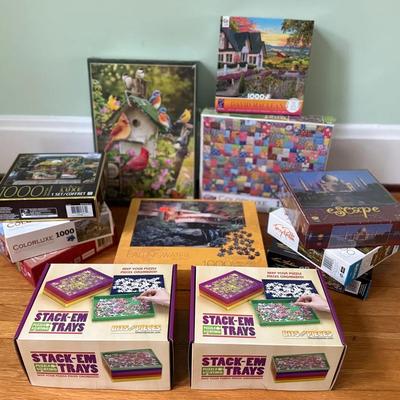 1000-Piece Puzzle Collection (10) W/ Rainbow Sorting Trays (2)