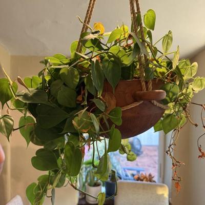 Sale Photo Thumbnail #29