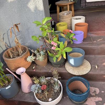 Sale Photo Thumbnail #58