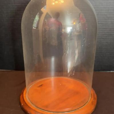 Show Off - Glass Display Dome Wood Base Display - Clear Glass, Light Wood Bottom