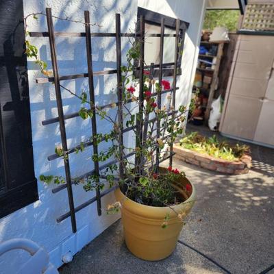 Sale Photo Thumbnail #61