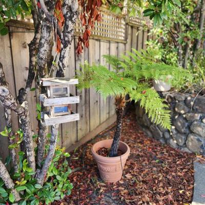 Sale Photo Thumbnail #59