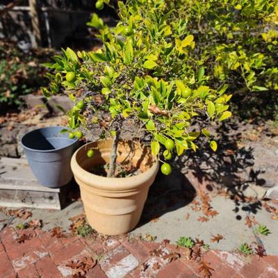 Sale Photo Thumbnail #70