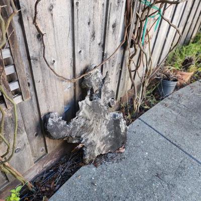 Sale Photo Thumbnail #60