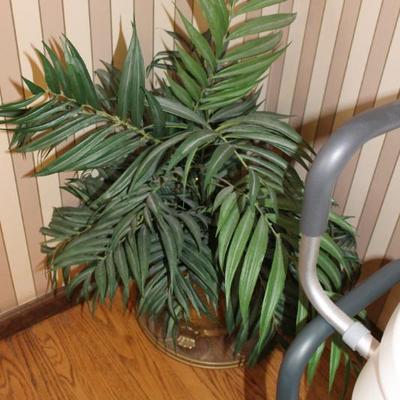 Sale Photo Thumbnail #64