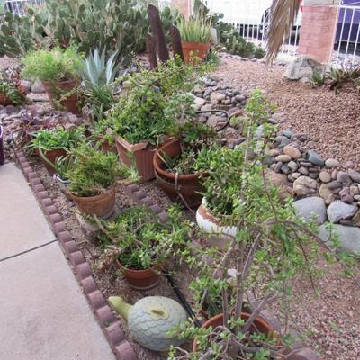 Sale Photo Thumbnail #177