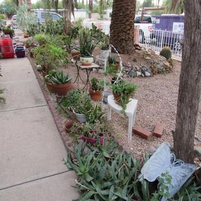 Sale Photo Thumbnail #173