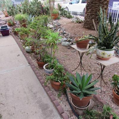 Sale Photo Thumbnail #175