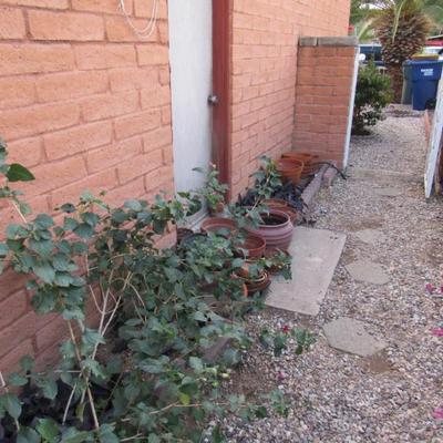 Sale Photo Thumbnail #63