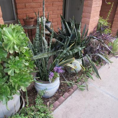 Sale Photo Thumbnail #176