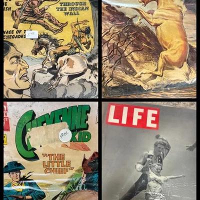 Collection Of Vintage Comics, LIFE Magazines