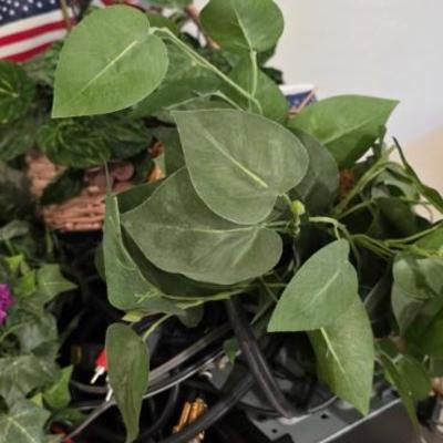 Sale Photo Thumbnail #67