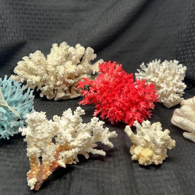 Coral Collection