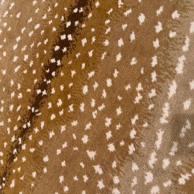 Sale Photo Thumbnail #175