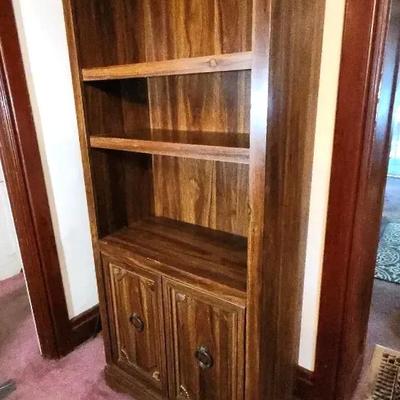 Vintage Book Shelf With Cabinet