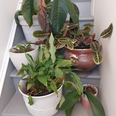 Sale Photo Thumbnail #234