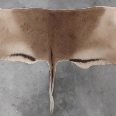 Sale Photo Thumbnail #180