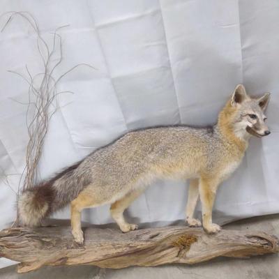 Sale Photo Thumbnail #204