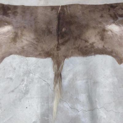 Sale Photo Thumbnail #173